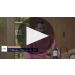 Chateau Ormes De Pez 2019 A Closer Look at the 2019 Vintage Product Video