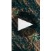Cenote Blanco Tequila Product Video