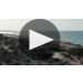 Varvaglione Primitivo di Manduria Papale Linea Oro 2017 Learn More About Papale Product Video