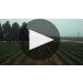 J. Lohr Fog's Reach Pinot Noir 2023 Product Video
