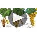 Royal Tokaji 5 Puttonyos (Red Label) (500ML) 2016 Royal Tokaji Puttonyos Product Video
