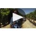 J. Lohr Estates Riverstone Chardonnay 2023 Product Video