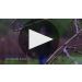 Copain Anderson Valley Pinot Noir 2013 Product Video