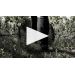 Faust Cabernet Sauvignon 2017 GM Jen Belos' Tasting Notes Product Video