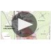 Bouchard Aine & Fils Savigny Les Beaune Blanc 2015 Product Video