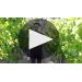 Austin Hope Cabernet Sauvignon (1.5 Liter Magnum) 2018 Learn More About Austin Hope Cabernet Product Video