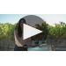 Trivento Golden Reserve Malbec 2017 Winemaker Notes Product Video