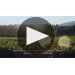 Codorniu Anna de Codorniu Cava Brut Rose Product Video