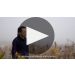 Root:1 Estate Sauvignon Blanc 2022 Product Video