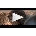 Tour Saint Christophe 2019 A Visual Flavor Profile Product Video