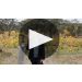 Pewsey Vale 10 Year Museum Reserve The Contours Riesling 2012 Product Video