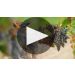 Joel Gott Napa Valley Cabernet Sauvignon 2019 Winemaker Tasting Videos Product Video