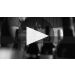 Tellurian Pastiche Shiraz 2018 Product Video