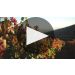 Root:1 Cabernet Sauvignon Reserva 2019 Root 1 Cabernet Sauvignon Tasting Notes Product Video