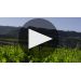 Cloudy Bay Te Wahi Pinot Noir 2014 Te Wahi Pinot Noir Product Video