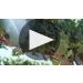 J. Lohr October Night Chardonnay 2023 Product Video