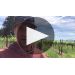 Bravium Anderson Valley Rose of Pinot Noir 2019 Product Video