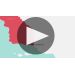 Walt Shea Vineyard Pinot Noir 2016 Product Video