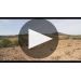 Honoro Vera Garnacha 2016 Learn More About Honoro Vera Garnacha Product Video