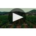 Markham Merlot 2020 Winemaker Tasting Notes Product Video