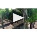 Napa Cellars Pinot Noir 2018 Napa Cellars Pinot Noir Product Video