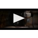Stag's Leap Wine Cellars Artemis Cabernet Sauvignon (1.5 Liter Magnum) 2021 Product Video