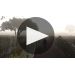 Fess Parker Clone 115 Pinot Noir 2017 Fess Parker Pinot Perfected Product Video