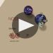 Protos Crianza 2016 Sensory Notes & Food Pairings Product Video