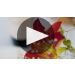 Susana Balbo Signature Malbec 2022 Product Video
