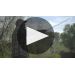 Elouan Rose 2017 Rosé - The Taste of Elouan Product Video