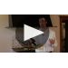 Bouchard Aine & Fils Bourgogne Pinot Noir 2016 Product Video