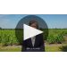 Chateau Haut-Bailly II 2019 Product Video
