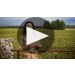 Catena Zapata Adrianna Vineyard Mundus Bacillus Terrae Malbec 2021 Learn More About the Adrianna Vineyard Product Video