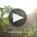 Billecart-Salmon Le Rose Brut Rose Overview Product Video