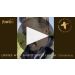 Fowles Wine Ladies Who Shoot Their Lunch Chardonnay 2019 Product Video