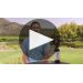 St. Francis Merlot 2017 Product Video