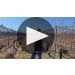 Andeluna 1300 Malbec 2025 Product Video