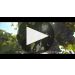 Vina Tarapaca Gran Reserva Etiqueta Negra Cabernet Sauvignon 2017 Winemaker Tasting Notes Product Video