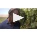 Rapaura Springs Reserve Sauvignon Blanc 2023 Product Video