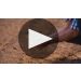 Ziobaffa Organic Pinot Grigio 2024 Ziobaffa Organic Pinot Grigio Product Video
