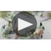 Candoni Organic Pinot Grigio 2018 Risotto & Asparagus Recipe Product Video