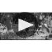 Glaetzer The Eye of Ra Shiraz 2016 Learn More About The Eye of Ra Shiraz Product Video