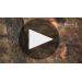 Root:1 Cabernet Sauvignon Reserva 2017 Product Video