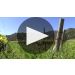 Morgan Double L Vineyard Riesling 2022 Organic Growing at the Double L Vineyard Product Video