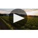 Nickel & Nickel Sullenger Vineyard Cabernet Sauvignon (1.5 Liter Magnum) 2018 Sullenger Cabernet Sauvignon Tasting Product Video