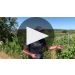 Stolpman Vineyards Originals Syrah 2019 Product Video