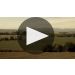 Grounded Wine Co. Landform Pinot Noir 2018 Product Video