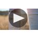 Hess MVRK Maverick Ranches Cabernet Sauvignon 2021 Tasting Notes Product Video
