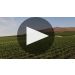 Substance Cabernet Sauvignon 2019 Product Video