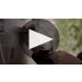 Seghesio Sonoma Zinfandel 2024 Seghesio Sonoma Zinfandel Product Video